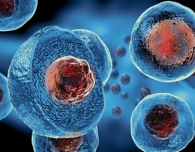 Comprehensive Guide to Mesenchymal Stem Cells: Advanced Isolation & Expansion Techniques