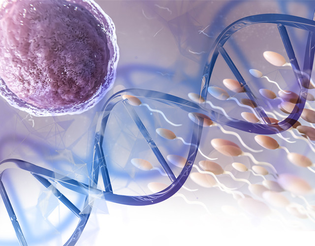 Reproductive genetics: principles and diagnosis